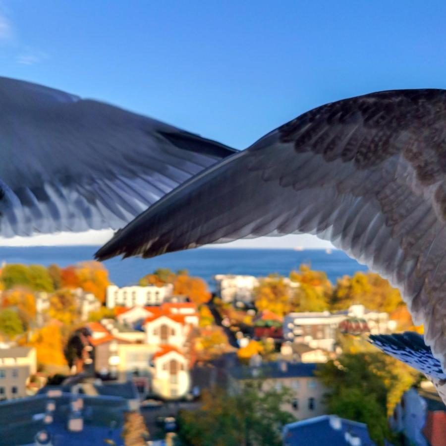 Pokoje Przy Plazy Z Widokiem Na Morze Zoppot Exterior foto