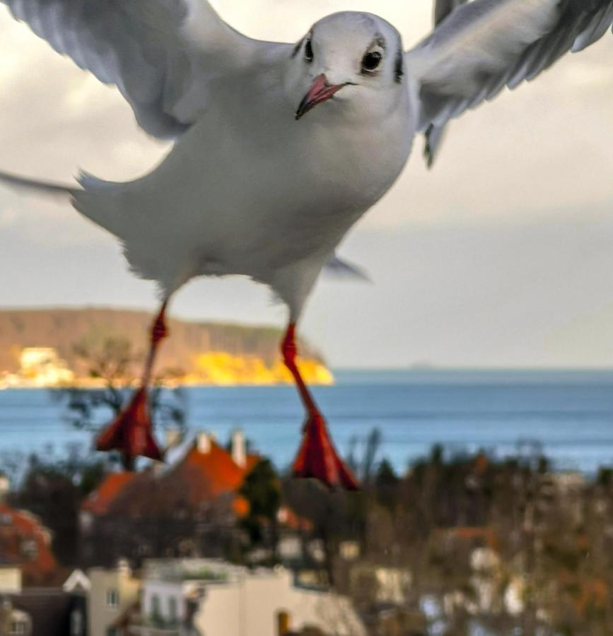 Pokoje Przy Plazy Z Widokiem Na Morze Zoppot Exterior foto