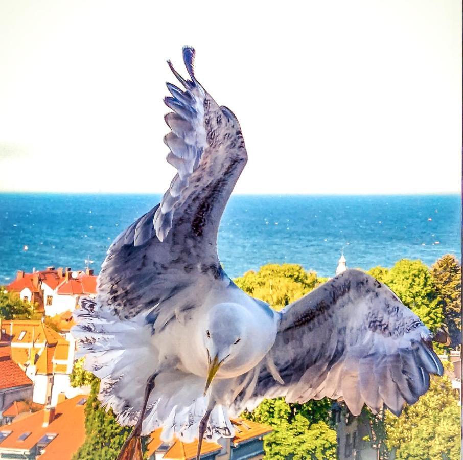 Pokoje Przy Plazy Z Widokiem Na Morze Zoppot Exterior foto