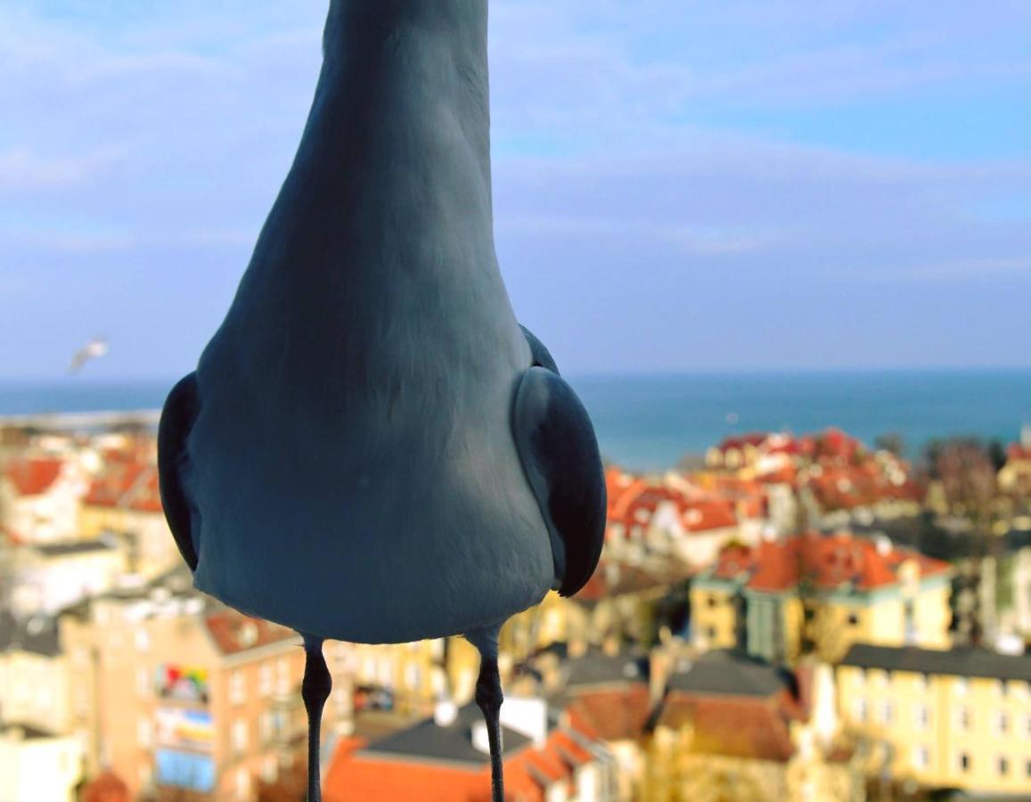 Pokoje Przy Plazy Z Widokiem Na Morze Zoppot Exterior foto