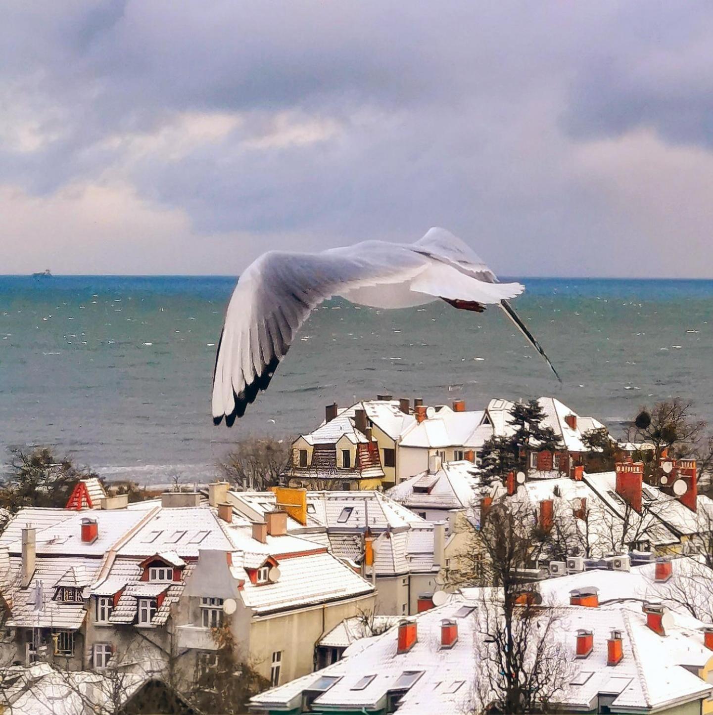 Ferienwohnung Pokoje Przy Plazy Z Widokiem Na Morze Zoppot Exterior foto