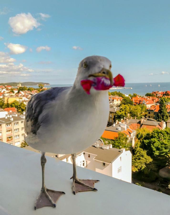 Ferienwohnung Pokoje Przy Plazy Z Widokiem Na Morze Zoppot Exterior foto