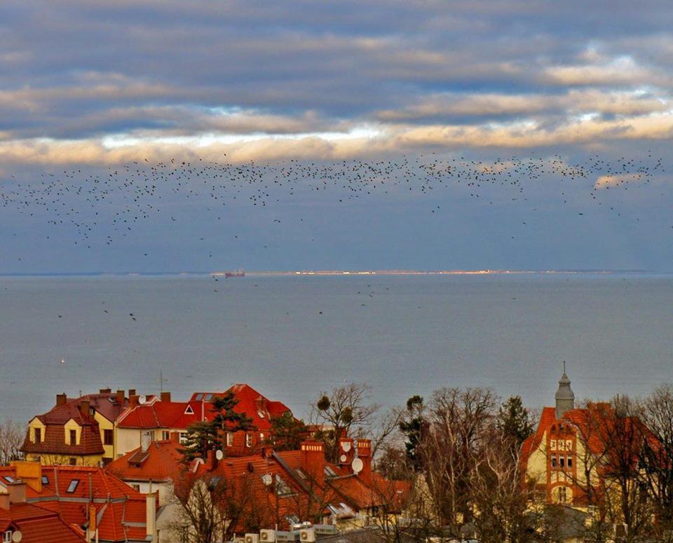 Pokoje Przy Plazy Z Widokiem Na Morze Zoppot Exterior foto